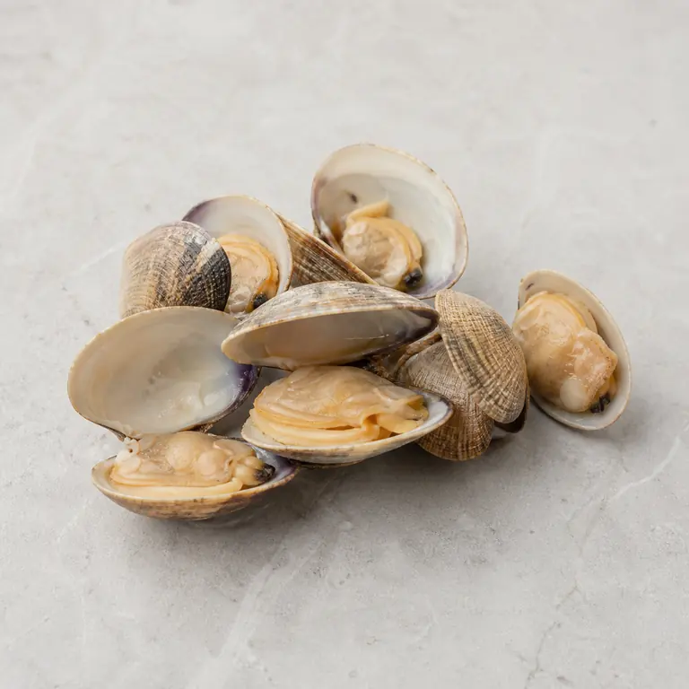Clams (cooked) on a neutral surface