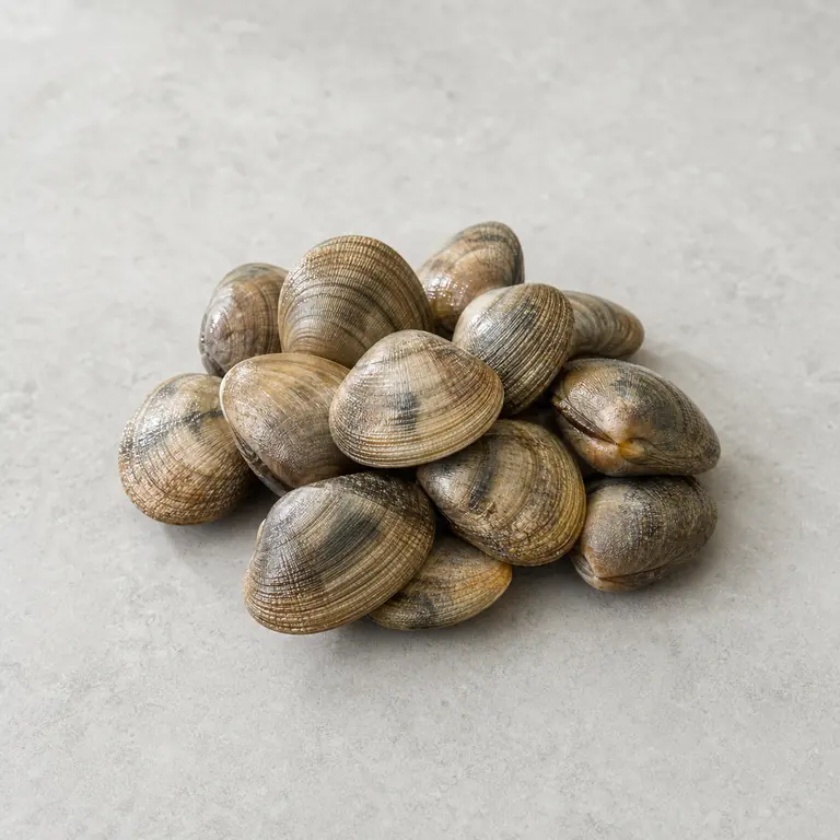 Clams (raw) on a neutral surface