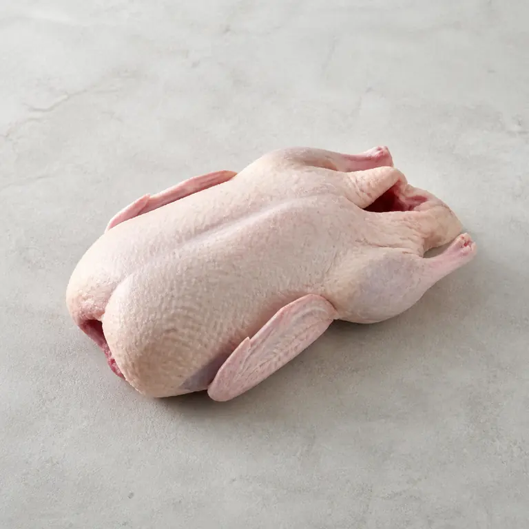 Duck (raw) on a neutral surface