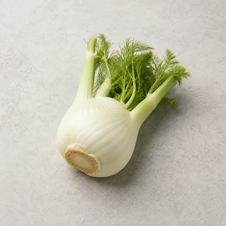 Fennel on a neutral surface