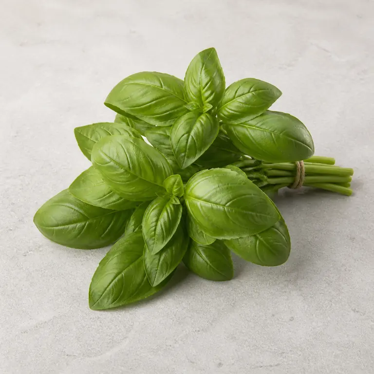 Fresh basil on a neutral surface