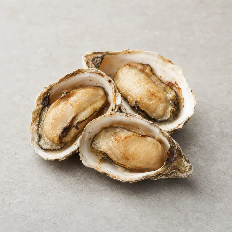 Oysters (cooked) on a neutral surface