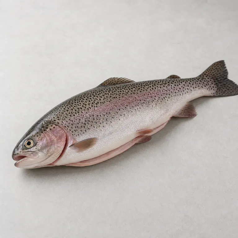 Trout (raw) on a neutral surface