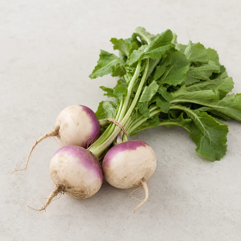 Turnips on a neutral surface